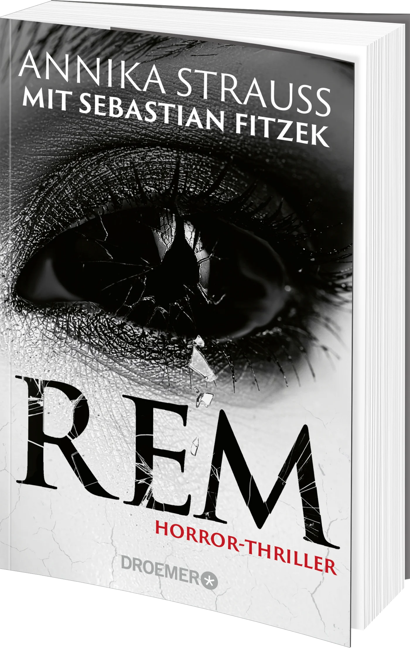 Fitzek / Strauss - REM Packshot in 3D